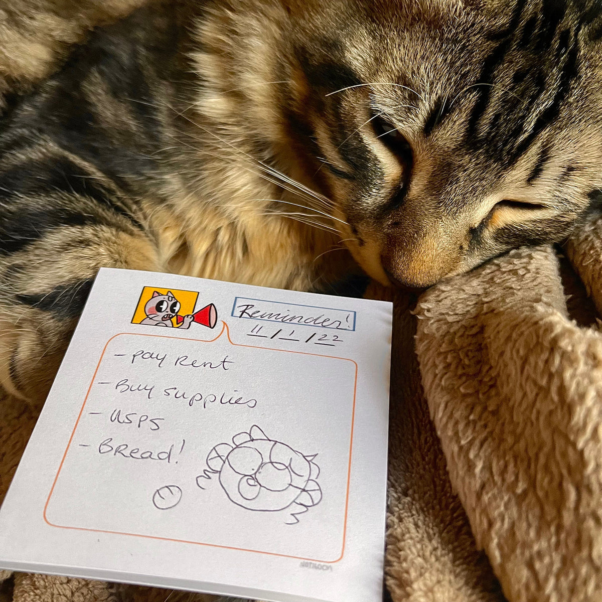 Sticky Kitty Imessage KITTY STICKY NOTES – LUCKY WEINNI